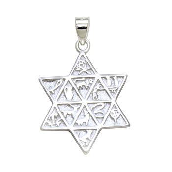 Pendentif Étoile de David en Argent 925 Rhodié – Symboles des Douze Tribus d’Israël