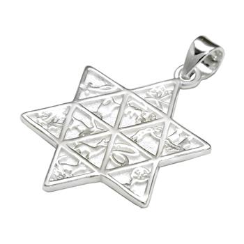Pendentif Étoile de David en Argent 925 Rhodié – Symboles des Douze Tribus d’Israël